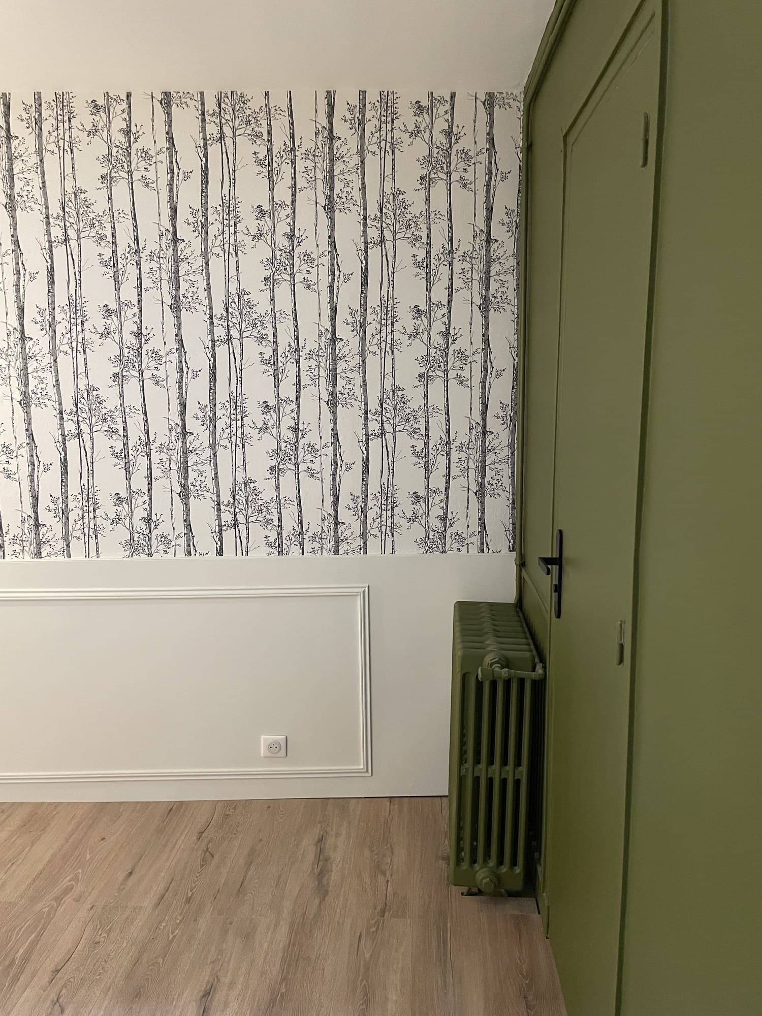 Porte et radiateur fonte repeints en vert profond, contre le mur à motif de bouleaux
